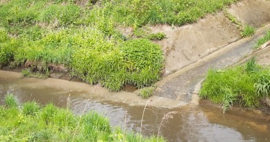 woda o brunatnym zanieczyszczeniu widoczna w kanale burzowym i rzece Olechówce
