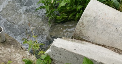 widok na wylot odprowadzający ścieki z  oczyszczalni PWiK w Żychlinie