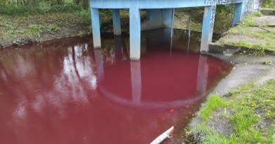 Zanieczyszczona woda w rzece o czerwonym  zabarwieniu