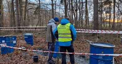 Inspektorzy Ochrony Środowiska w lesie, pochyleni nad wykopem z odpadami w tle metalowe niebieskie beczki