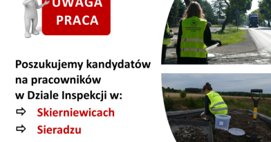 Grafika ogłaszająca nabór do Inspekcji w Delegaturze w Skierniewicach i Sieradzu