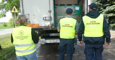 inspektorka ochrony środowiska wraz z funkcjonariuszami służby celno - skarbowej podczas oględzin załadunku na naczepie zatrzymanego do kontroli pojazdu 