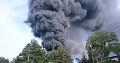 czarne kłęby dymu unoszące się nad drzewami na tle błękitnego nieba