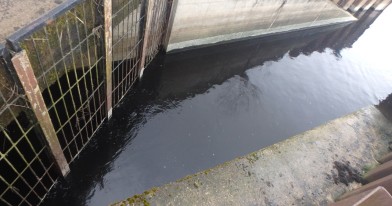 Widok wylotu ścieków odprowadzanych z oczyszczalni w Dzigorzewie do rzeki Warty